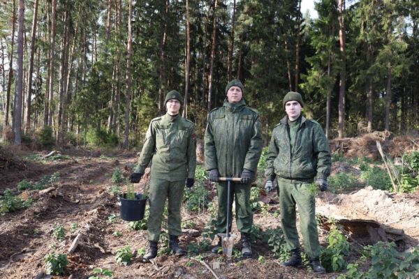 На Быховщине продолжается акция по восстановлению лесов